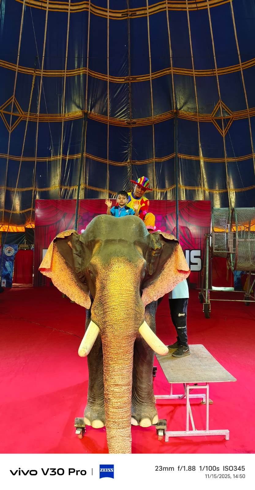 Dumpty Humpty Pre School